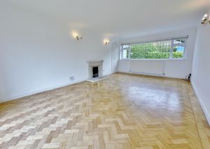 Photo 22- click for photo gallery